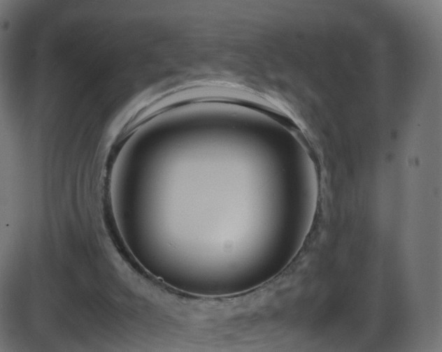 X0000086280007200704051347