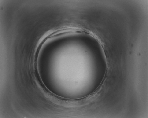 X0000086280008200704051347