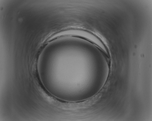 X0000086280009200704051347