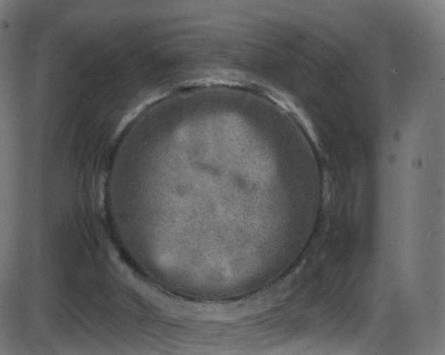 X0000086280010200704051347