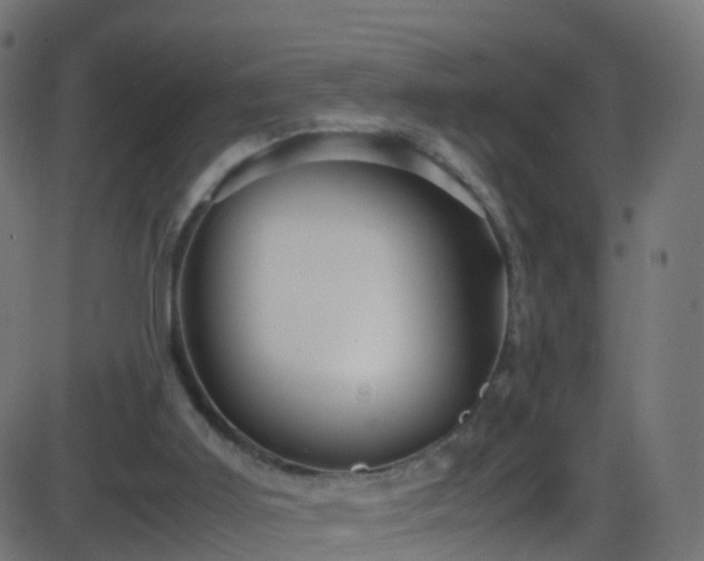 X0000086280011200704051347