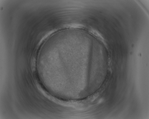 X0000086280012200704051347