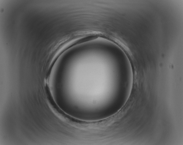 X0000086280013200704051347