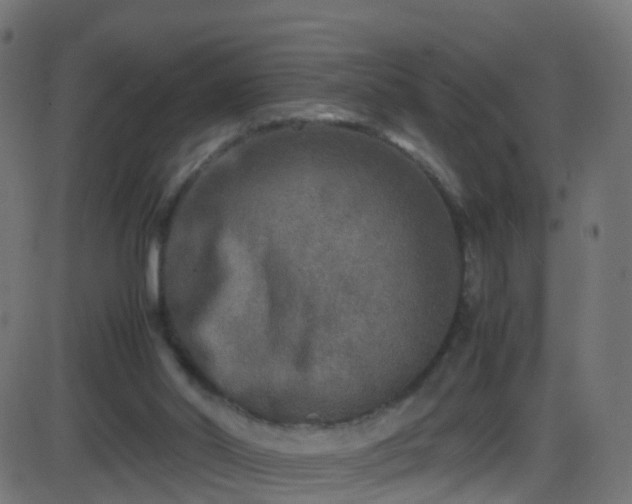 X0000086280014200704051347