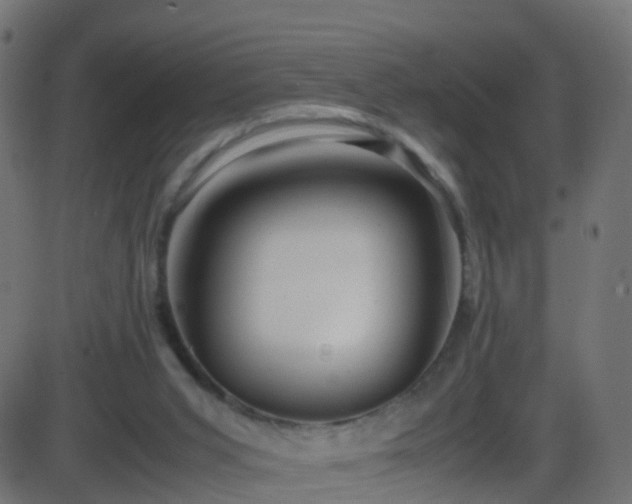 X0000086280015200704051347