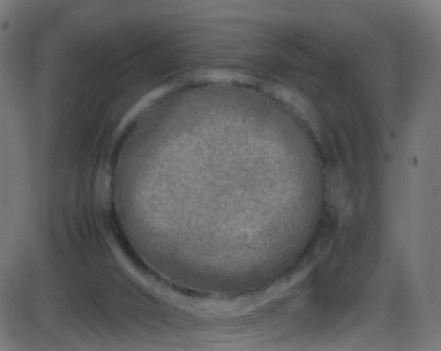 X0000086280016200704051347