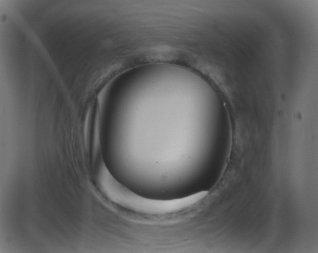 X0000086280017200704051347