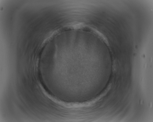 X0000086280018200704051347