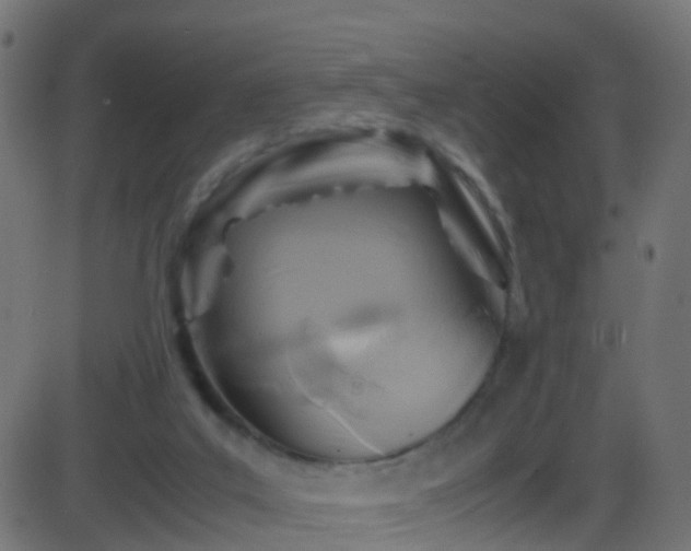 X0000086280019200704051347