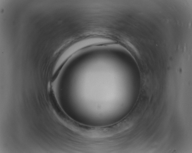 X0000086280020200704051347