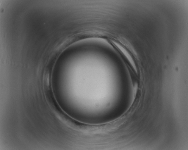 X0000086280021200704051346