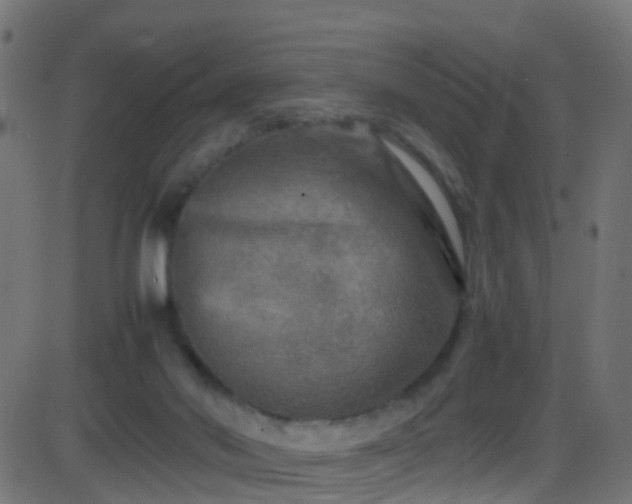 X0000086280022200704051346