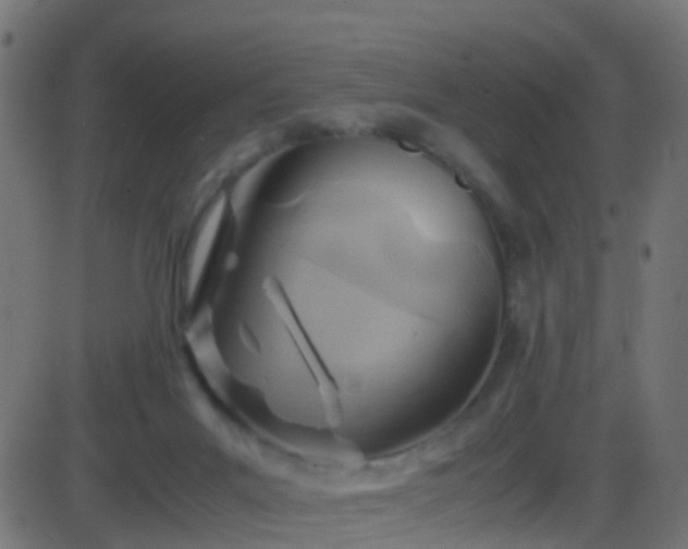 X0000086280023200704051346