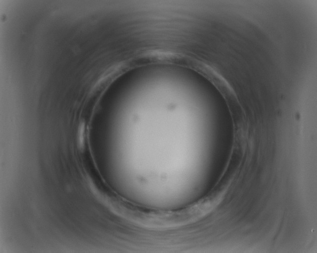 X0000086280024200704051346