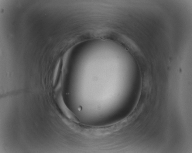 X0000086280025200704051346