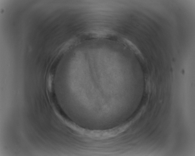 X0000086280026200704051346