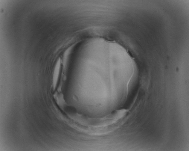 X0000086280027200704051346