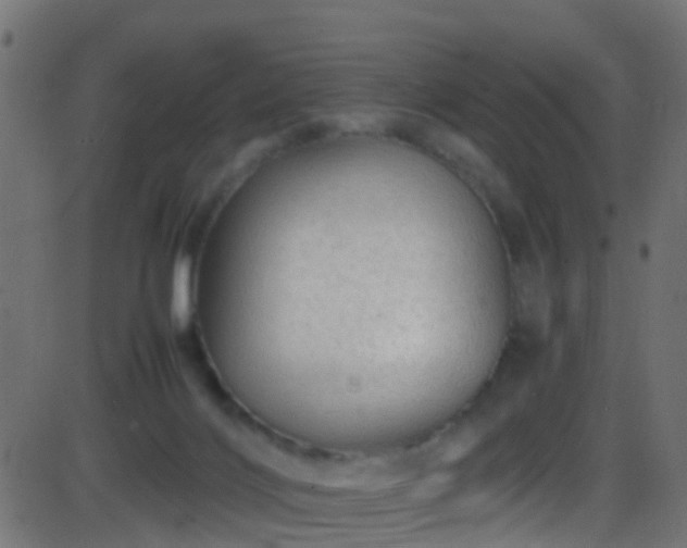 X0000086280028200704051346