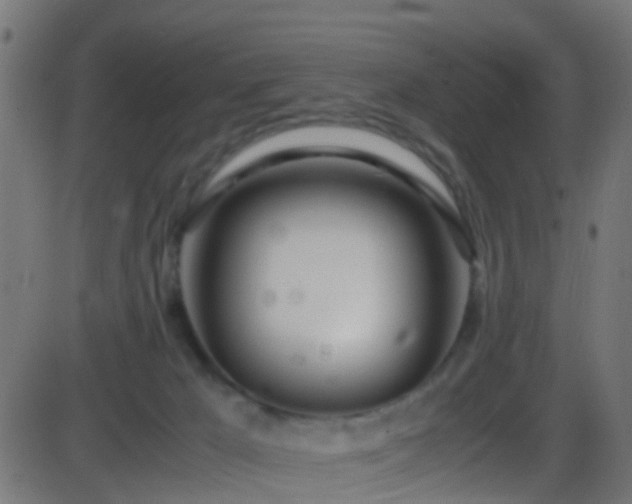 X0000086280029200704051346