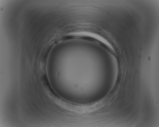 X0000086280031200704051346