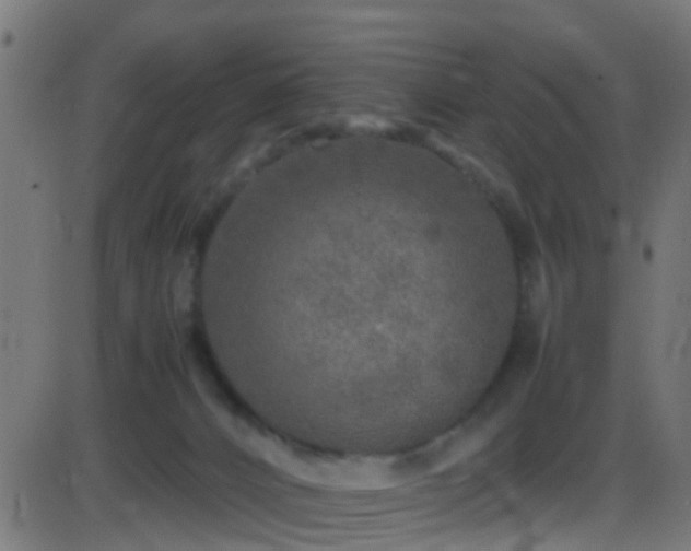 X0000086280032200704051346