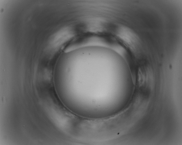 X0000086280033200704051346