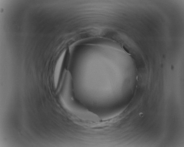 X0000086280035200704051346