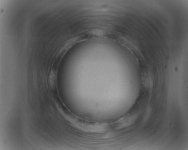 X0000086280036200704051346