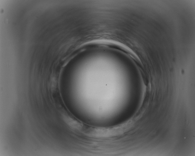 X0000086280037200704051346