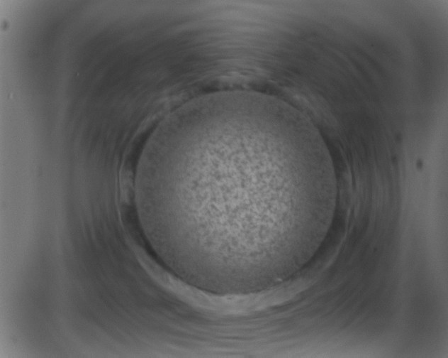 X0000086280038200704051346