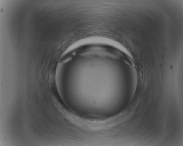 X0000086280039200704051346