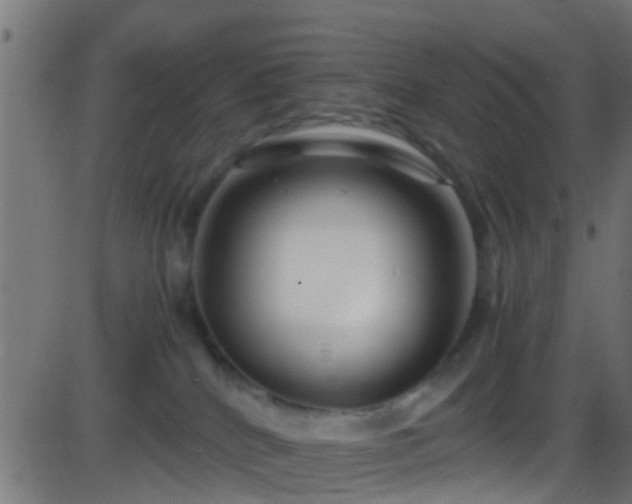 X0000086280040200704051346