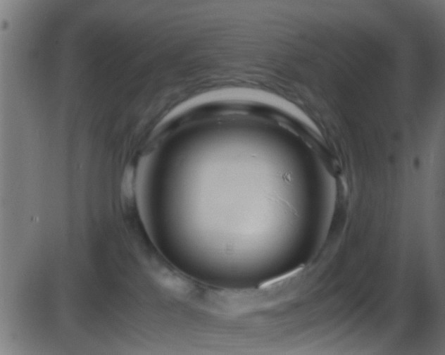 X0000086280041200704051346