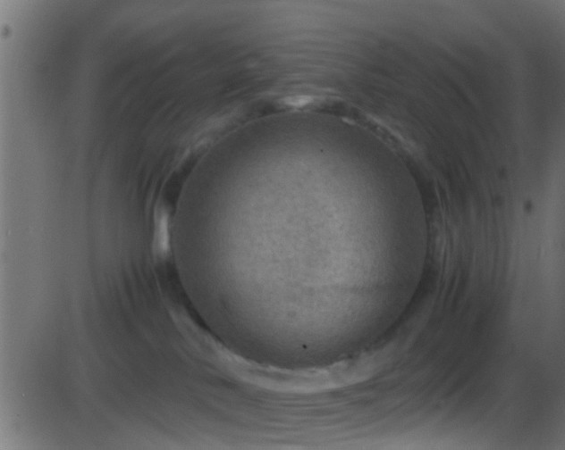 X0000086280042200704051346