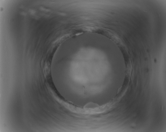 X0000086280043200704051346