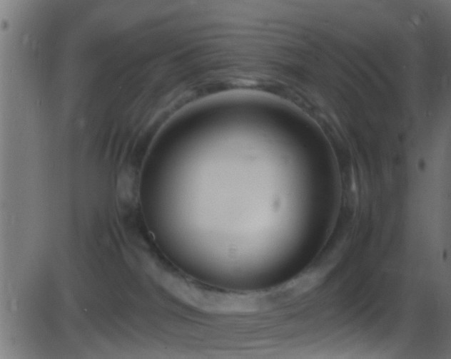 X0000086280044200704051346