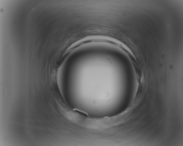 X0000086280045200704051346