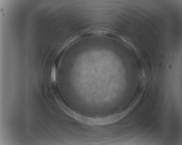 X0000086280046200704051346