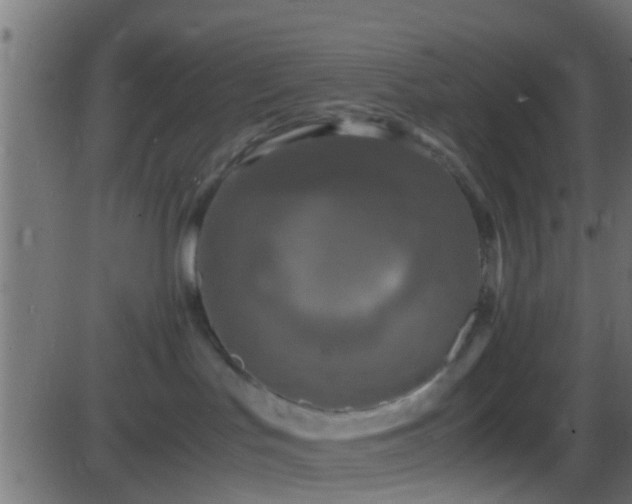 X0000086280047200704051346