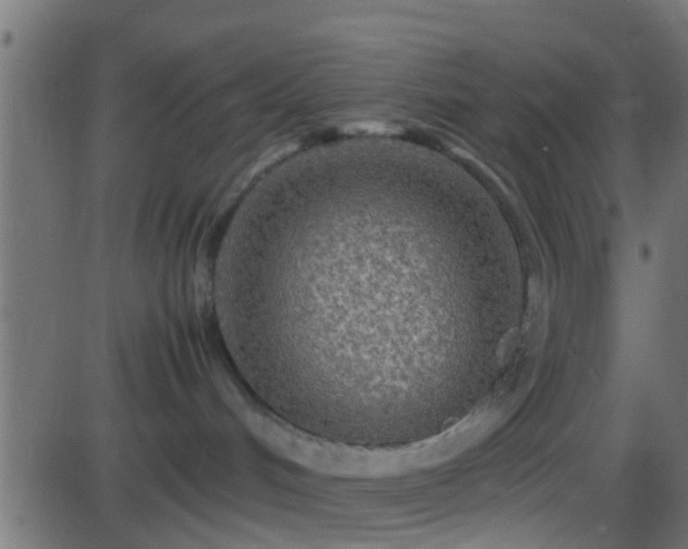 X0000086280048200704051346