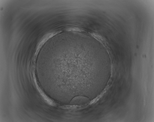 X0000086280049200704051345