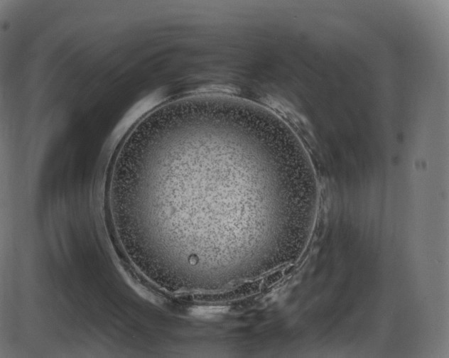 X0000086280051200704051345