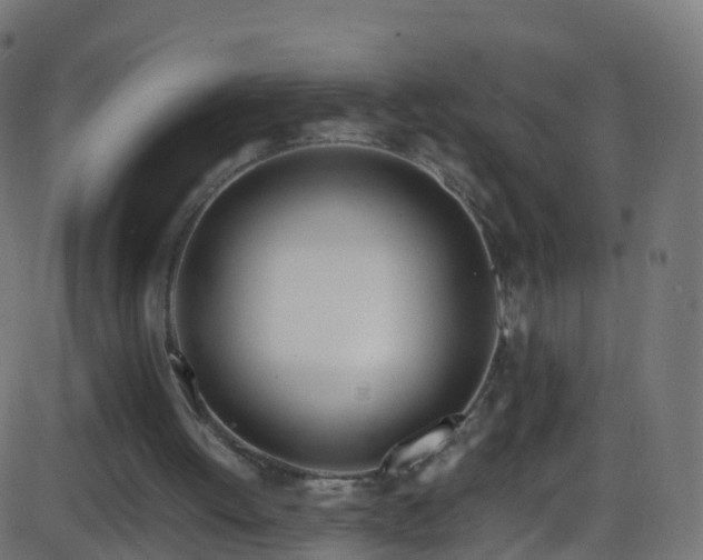 X0000086280052200704051345