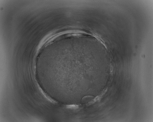 X0000086280053200704051345