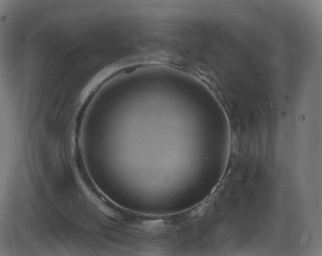 X0000086280054200704051345