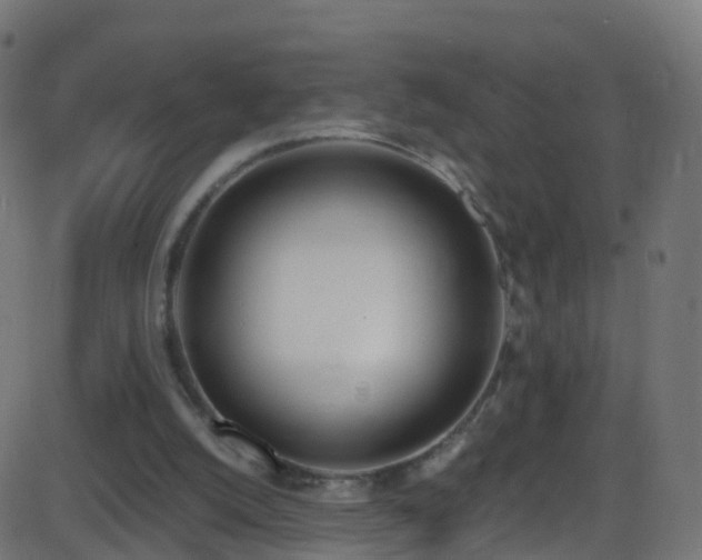 X0000086280056200704051345