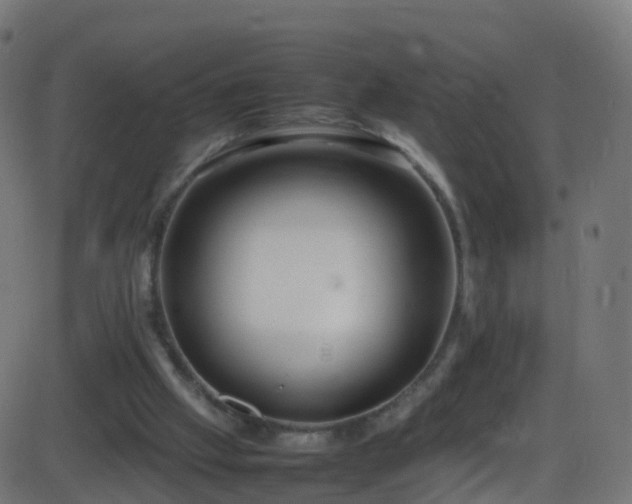 X0000086280057200704051345