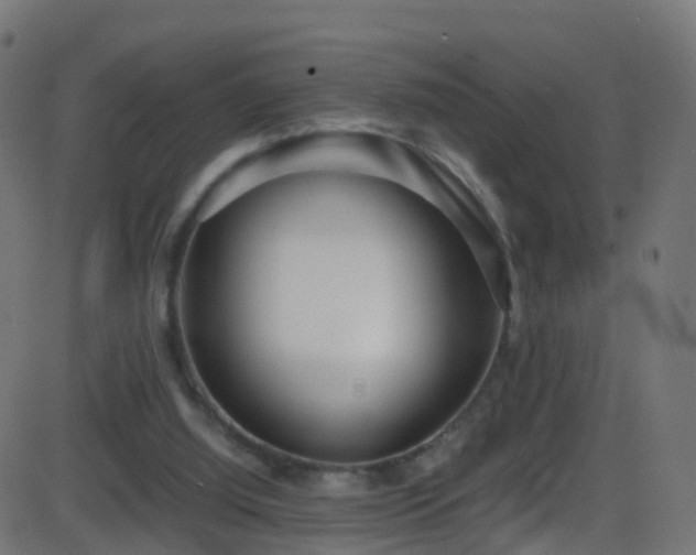 X0000086280060200704051345