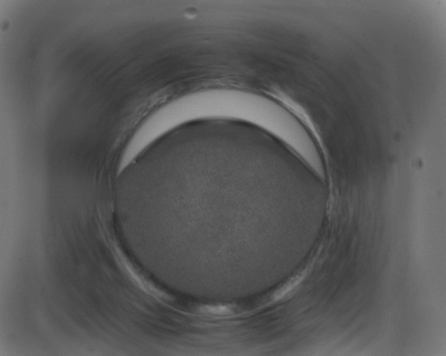 X0000086280061200704051345