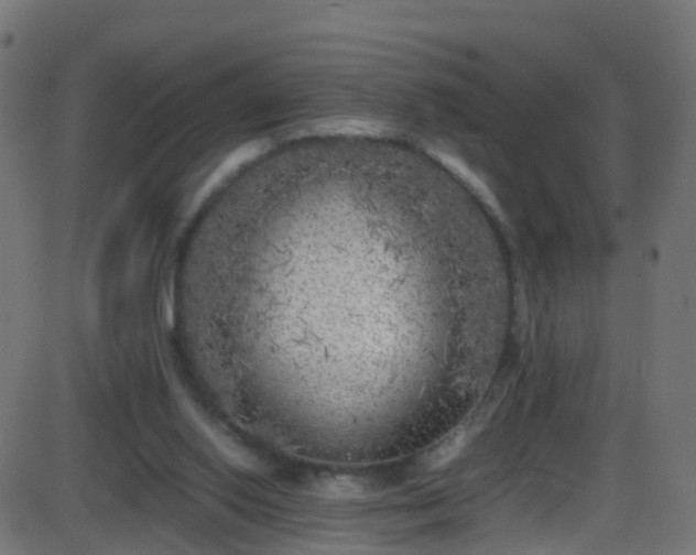 X0000086280062200704051345